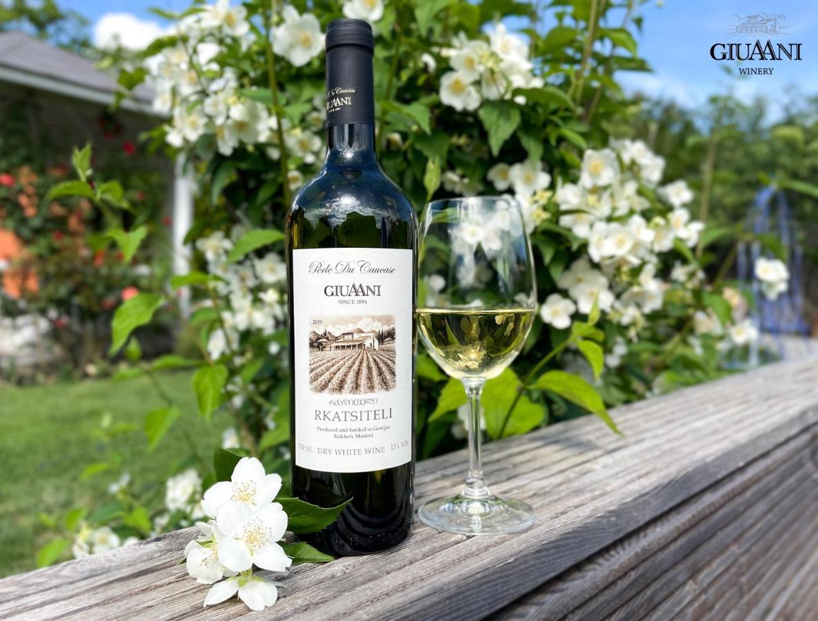 Giuaani Winery Hotel Manavi Bagian luar foto