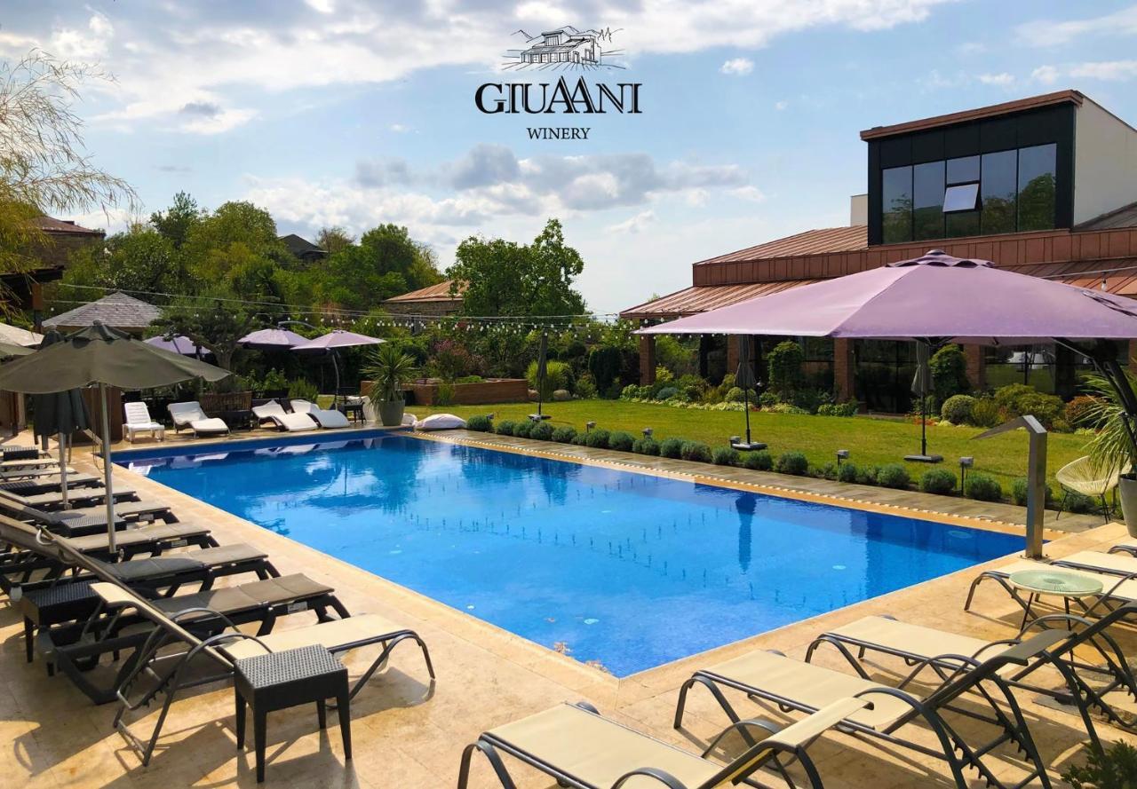 Giuaani Winery Hotel Manavi Bagian luar foto