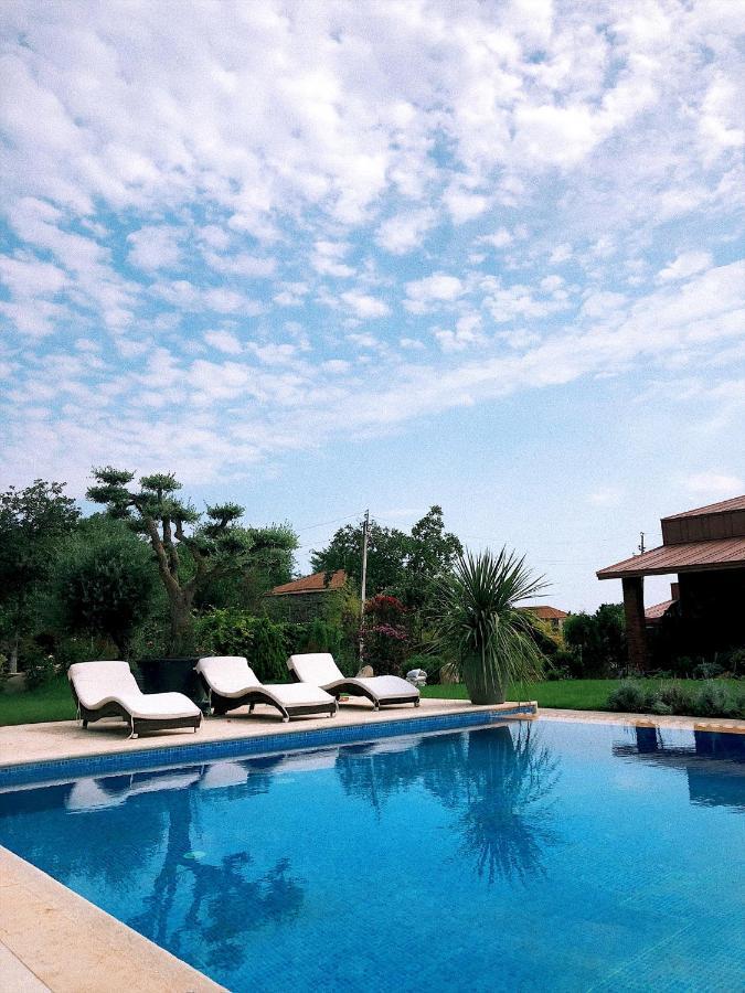 Giuaani Winery Hotel Manavi Bagian luar foto